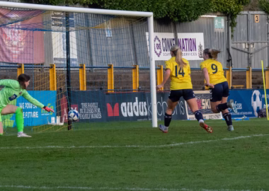 Scarlett score v Bowers